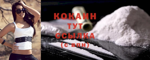 шишки Баксан