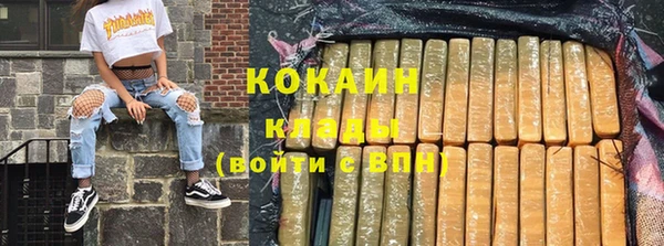 шишки Баксан