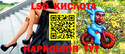гидра Волгодонск