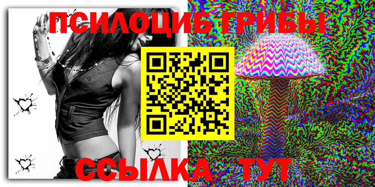 Галлюциногенные грибы Cubensis Городец